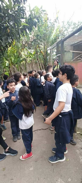 Bicho Mania 2022